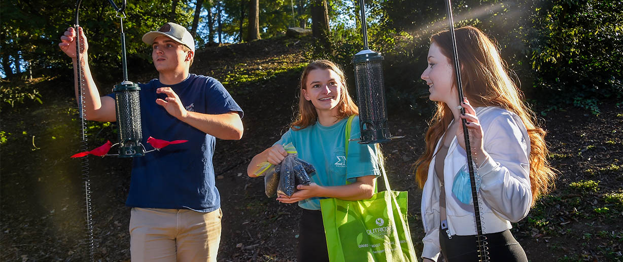 Biology students studied the impact of different variables on the foraging habits of songbirds.
