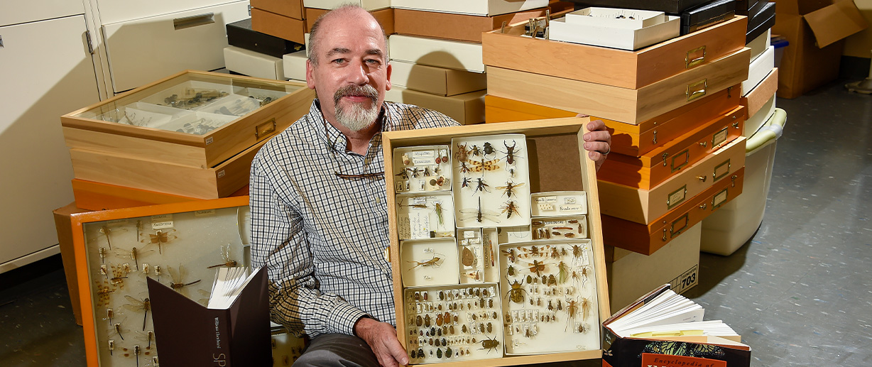 Allen Mackenzie ’51 donated his collection of insects to the Wofford Department of Biology
