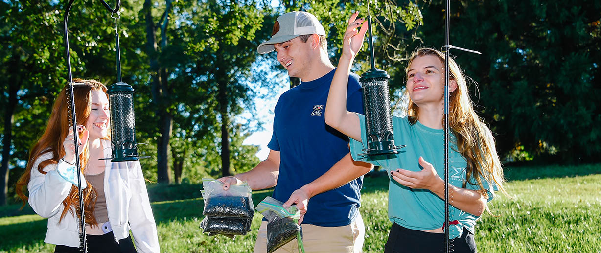Biology students study foraging habits of songbirds